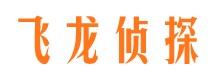 平桥侦探公司